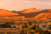 Namib desert and sanddunes at sunset, Sossusvlei, Namibia, Africa
