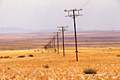 Electric pylons in the middle of the desert, Luederitz, Namibia, Africa