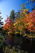 River at fall, P. Quebec Canada