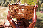 Trockenfischverarbeitung, Goa, Indien