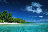 Palmen auf der Insel Motu Rangiroa unter blauem Himmel, Französisch Polynesien, Südpazifik, Ozeanien