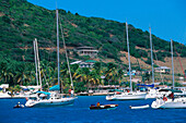 Segelboote, Clifton Habour, Union Island St. Vincent, Grenadinen