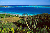 Blick auf Boote in einer Bucht im Sonnenlicht, Horseshoe Reef, Tobago Cays, St. Vincent, Grenadinen, Karibik, Amerika