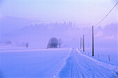 Snow covered street in the morning mist, Vaestergoetland, Sweden, Europe