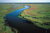View at the Malega Creek in a swamp at Kakadu National Park, Northern Territory, Australia