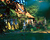 Fachwerkhaus in einem Garten mit Blumen, Svaneke, Bornholm, Dänemark, Europa
