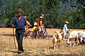 Shepherd, Biker, Santo Estevao, Tavira East Algarve, Portugal