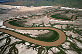 Aerial view of King River with mangroves and tidal mud flats, Wyndham, Kimberey, West Australia, Ausrtalia
