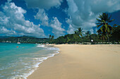 Strand, Grand Anse Beach, südl. St. George´s Grenada, West Indies