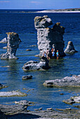 Raukar, Kalksteinformationen, Naturreservat Gamle Hamn, Insel Farö, Gotland, Schweden