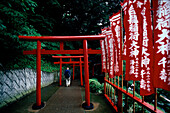 Tori an heißer Mineralquelle Umi Jigoku, Kleiner Tempel im subtropischen Wald Beppu, Südinsel Kyushu, Japan
