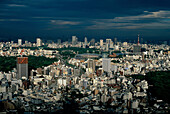 Stadtteile Shinjuku bis Shibuya, Yoyogi Park, Expressway, Regen im Zentrum, Shinjuku, Tokyo, Japan