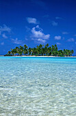 Insel Motu, an Blauer Lagune, Rand des Atolls Rangiroa, Tuamotu Inseln Franzoesisch-Polynesien