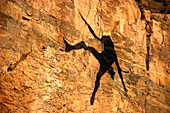 Schatten eines Mannes, Kletterer beim Abseilen, Freeclimbing, Arizona, USA