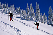 Two people on ski tour, Oppenberg, Styria, Austria
