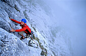 Climber, Martiniplatte, Glatscherofenkofel, Gosaukamm, Austria