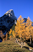 Herbstlandschaft mit Bergpfad, Donnerkogel, Gosaukamm, Oberösterreich, Österriech