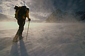 Alpinist among blizzard headed to Dachstein, Skiing tour, Hallstätter Gletscher, Dachstein, Austria