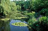 Garden of Claude Monet, Giverny, Normandie France
