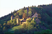 Castle, Hirschhorn, Neckar, Odenwald Germany