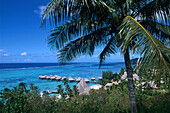 Sofitel Coralia IA Ora Hotel, Moorea Franzoesisch-Polynesien