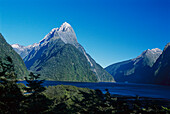 Mitre Peak, Regal Princess, Milford Sound, Fiordland NP Neuseeland