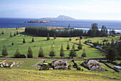 Queen Elisabeth Lookout, Nepan, and Phillip Island, Kingston Norfolk Island, Australia