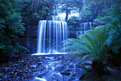 Russell Falls, Mount Field NP, Tasmania Australia