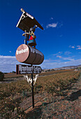 Krondorf Vineyards, Barossa Valley, near Tanunda SA, Australia