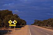 Road Signs, Eyre Highway, near Tanunda SA, Australia