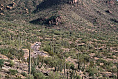 Ajo Mountain Drive, Organ Pipe Nat. 1 Monument, Arizona, USA