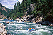 Rafting, South Fork Payette River, near Banks, Idaho USA
