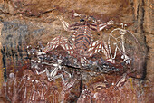 Aboriginal Rock Paintings, Nourlanglie Rock, Kakadu NP N.T., Australia