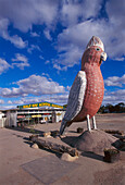 The Big Galah, Kimba SA, Australia