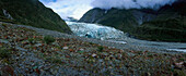 Fox Glacier Terminal, Fox Glacier, West Coast, South Island, New Zealand