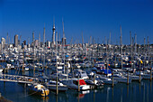 City of Sails, View from Westhaven Marina Auckland, New Zealand