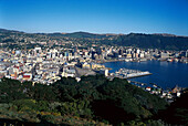 View from Mount Victoria, Wellington, North Island New Zealand