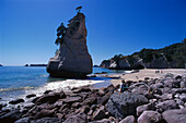 Cathedral Cove near Hahei, Coromandel Peninsula, North Island New Zealand