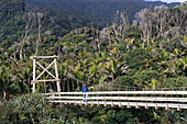 Kohai River Bridge, Heaphy Track, Kahuragni National Park , South Island New Zealand
