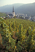 Village and vineyard along the Moselle river, Edinger-Eller, Moselle, Rhineland-Palatinate, Germany