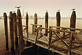 Donna Leon, Death at La Fenice, Guidecca, Jetty with view towards San Marco, Venice, Italy