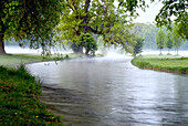 A stream with morning mist flowing through the English Garden, Munich, Bavaria, Germany