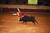 Bull fight, Albufeira, Algarve Portugal