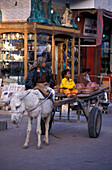 Donkey cart at a bazar downtown, Hurghada, Egypt, Africa