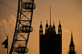 Detail of the London Eye and Westminster Palace at dusk, London, England, Great Britain, Europe