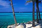 Palmenstrand des Hotel Melia, Varadero, Kuba, Karibik, Amerika