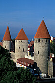 City Walls, Old Town, Tallinn Estonia