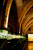 Gewölbe in Salo del Tinell, Museum zur Stadtgeschichte, Museu d´Historia de la Ciutat, Placa del Rei, Barri Gotic, Barcelona, Katelonien, Spanien