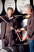 Two men testing whiskey at Ben Nevis distillery, Fort William, Invernesshire, Scotland, Great Britain, Europe