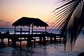 Boardwalk at sunset, Pigeon Point Tobago